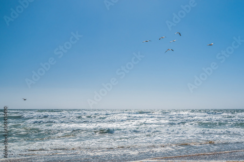 A flock of birds flying over the Pacific Ocean. Blue and turquoise colored sea waves  beautiful cloudy sky on background
