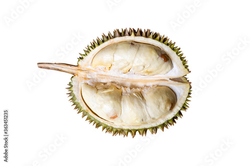 Local durian varieties in southern Thailand that have split isolated on white background with clipping path