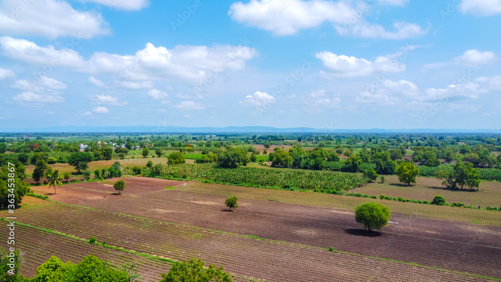 Obraz premium Aerial top view of agriculture field