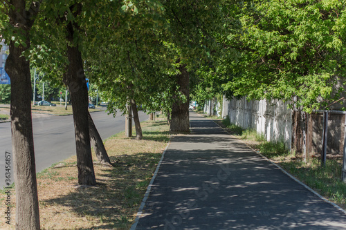 Fototapeta Naklejka Na Ścianę i Meble -  paved sidewalk in the city