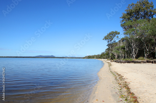 Fototapeta Naklejka Na Ścianę i Meble -  Beautiful Boreen Point in Sunshine Coast Queensland Australia.  Beach front with trees and water
