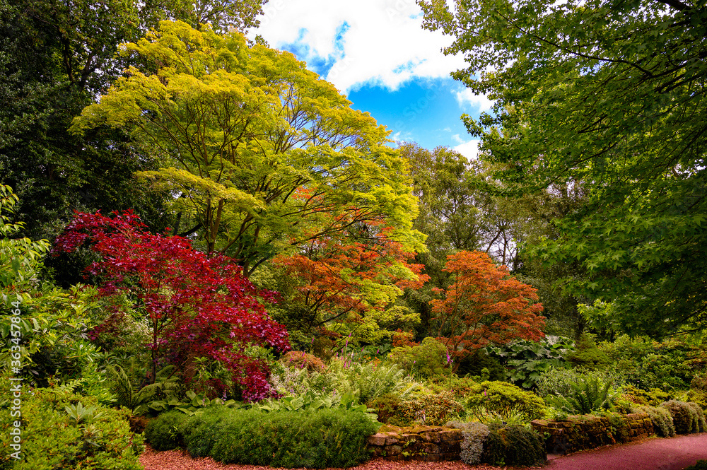 autumn in the park autumn in the park