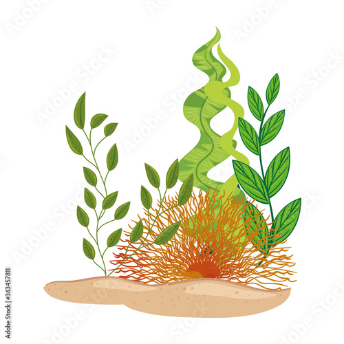 underwater seaweed with coral on white background vector illustration design