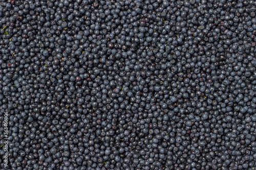 Fresh forest ripe organic blueberries