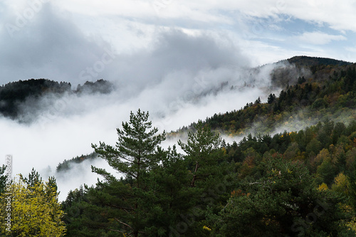 Nebel Landschaft in Südfrankreich 
