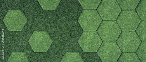 Fototapeta Naklejka Na Ścianę i Meble -  Hexagon lawn grass