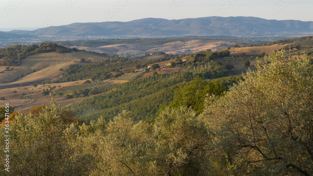 Paysage de Toscane en Italie