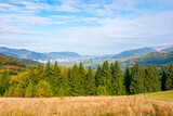 autumn morning in the foggy valley. open view with forest on the meadow. stunning nature scenery of carpathian mountains. sunny weather