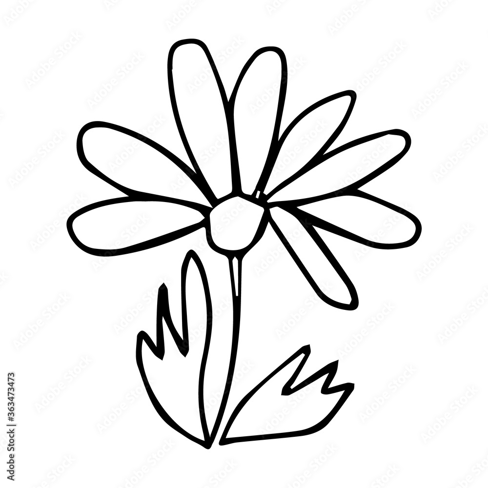 Hand drawn vector illustration of chamomile in primitive stile. Ink drawing monochrome artistic botanical illustration. Design for greeting cards and invitations of the wedding, birthday, mother's day Hand drawn vector illustration of chamomile in primitive stile. Ink drawing monochrome artistic botanical illustration. Design for greeting cards and invitations of the wedding, birthday, mother's day