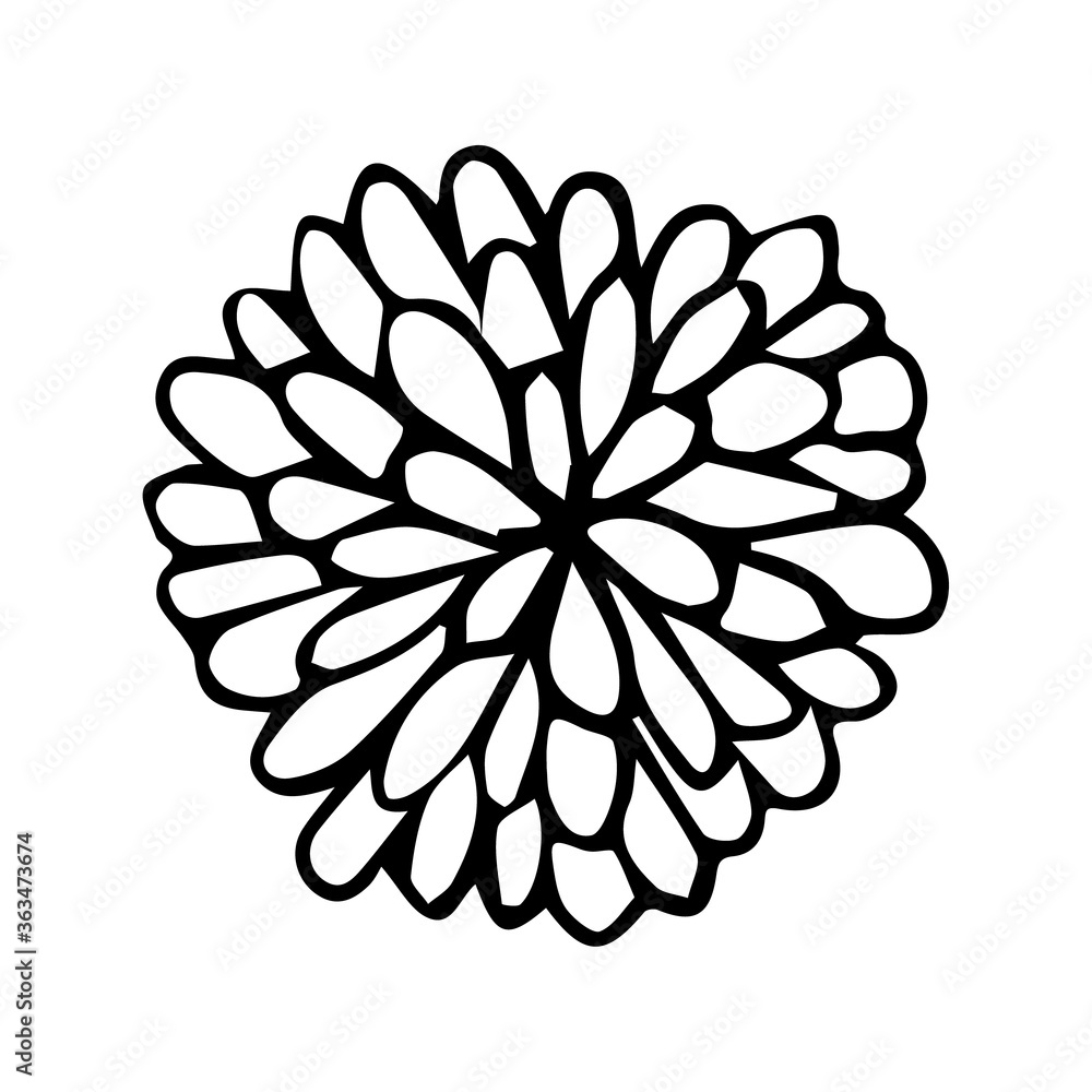 A blossoming bud of aster and chrysanthemum in doodle style. Outline drawing black-white vector illustration. For greeting cards and invitations of the wedding, birthday and other seasonal holiday. A blossoming bud of aster and chrysanthemum in doodle style. Outline drawing black-white vector illustration. For greeting cards and invitations of the wedding, birthday and other seasonal holiday.