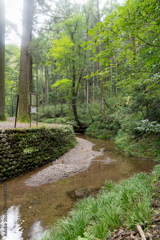 Naklejka premium 新城市観光 阿寺の七滝