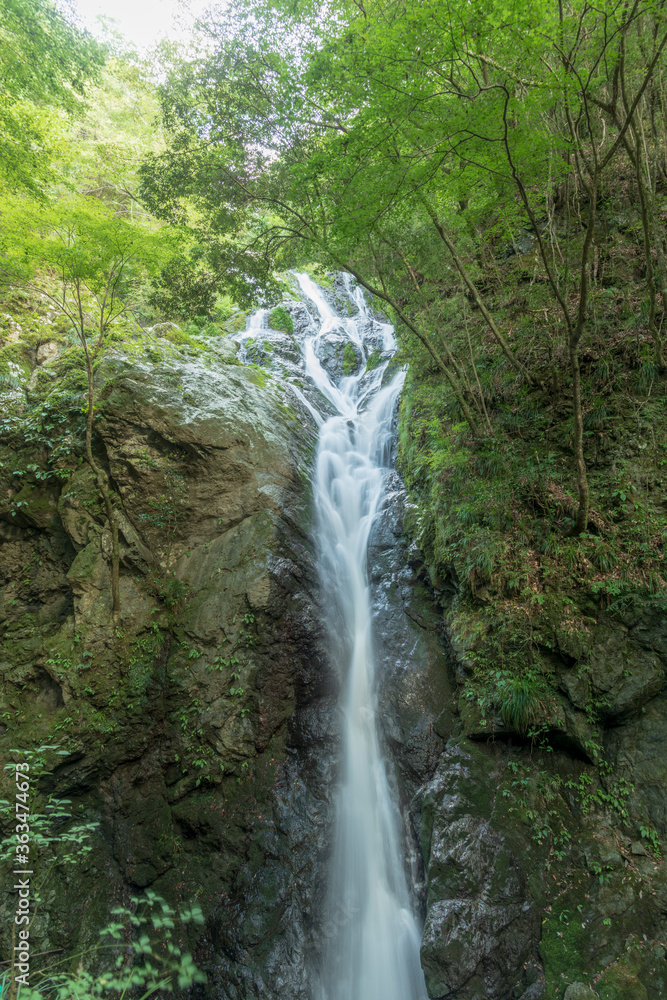 Fototapeta premium 新城市 百間滝