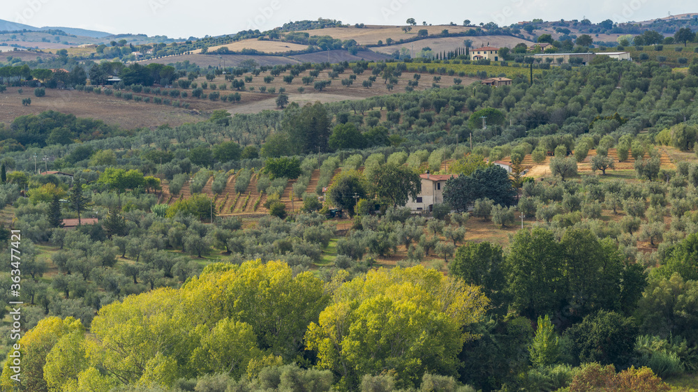 Fototapeta premium Paysage de Toscane en Italie