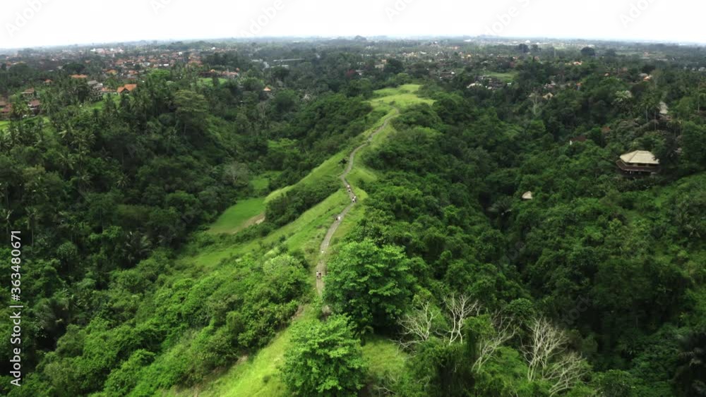 Aerial Shot Of Campuhan Ridge Walk, Beautiful Bali Destination Aerial Shot Of Campuhan Ridge Walk, Beautiful Bali Destination