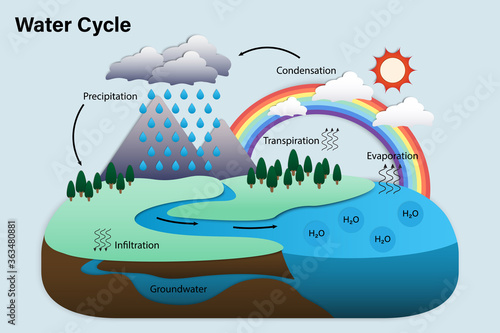 Diagram of Water cycle, Hydrologic cycle, Biogeochemical cycle for education chart