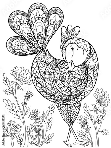 bird graphics contour illustration coloring book vector isolate on a white background animal fantasy ornament antistress for children and adults