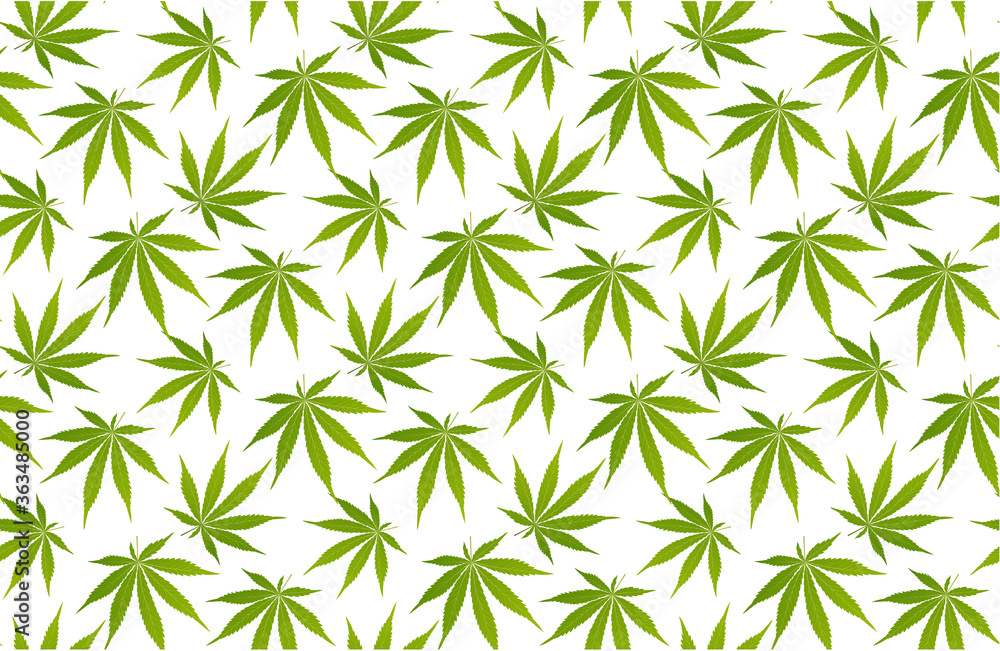 Fototapeta premium Marijuana leaf and green seamless pattern.