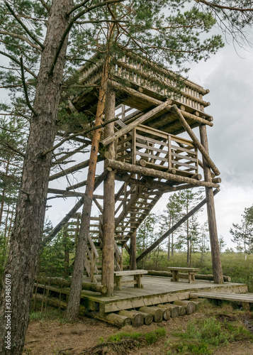 a wooden construction tower in the middle of the bog. View of the beautiful nature in the swamp - pond  conifers  moss  clouds