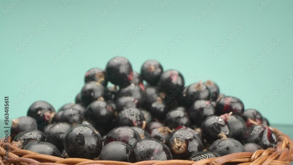 super close up. details of blackcurrant berries in a basket on a table super close up. details of blackcurrant berries in a basket on a table