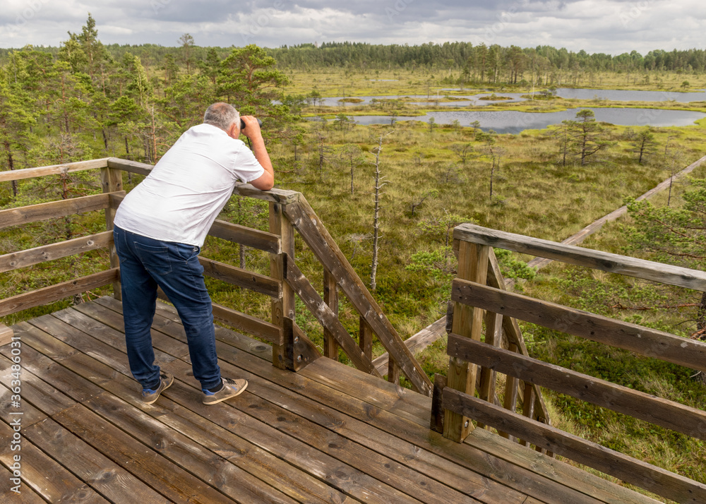 man viewing binoculars from the lookout tower, swamp background, summer landscape in the swamp
