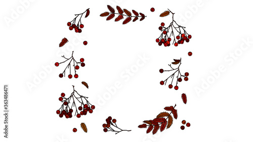 Beautiful autumnal rowanberries with autumn-coloured leaves put together in a rectangle