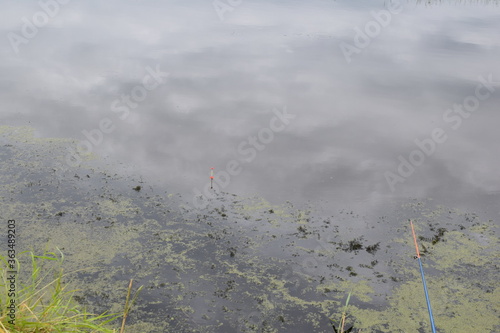 Fish place in Berdyuzhsky district Tyumen region