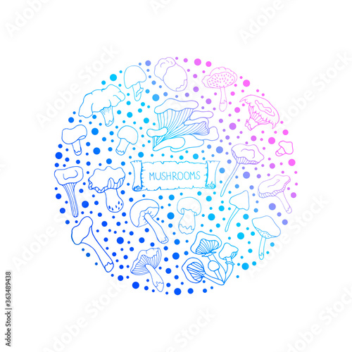 Set with mushrooms. Vector isolated illustration with chanterelles, russules. Doodle style. Design of logos, books, albums, and magazines. Oyster mushrooms, white mushrooms on a white background. 