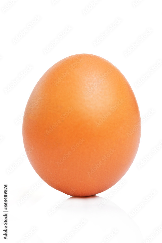 Bright brown egg. Close-up. Isolated on a white background. Vertical. Diet and proper healthy nutrition. Vertical. Bright brown egg. Close-up. Isolated on a white background. Vertical. Diet and proper healthy nutrition. Vertical.