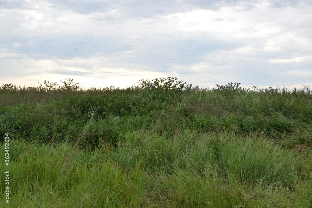 Fish place in Berdyuzhsky district Tyumen region