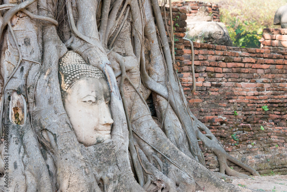 The head of Buddha in WAT MAHATHAT in Ayutthaya, Thailand. It is part of the World Heritage Site - Historic City of Ayutthaya.