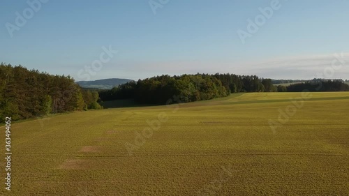 landscape with trees