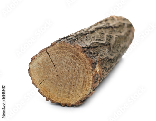 Wood tree log isolated on white background