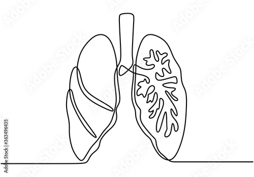 Lungs continuous one line i...