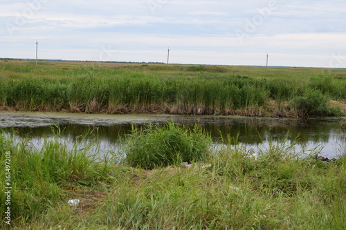 Fish place in Berdyuzhsky district Tyumen region