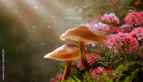 Magical fantasy mushrooms in enchanted fairy tale dreamy elf forest with fabulous fairytale blooming pink rose flower garden on mysterious background and shiny glowing stars and sun rays in morning