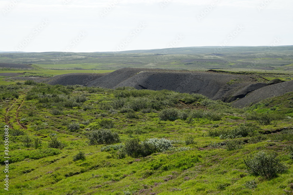 Naklejka premium Island