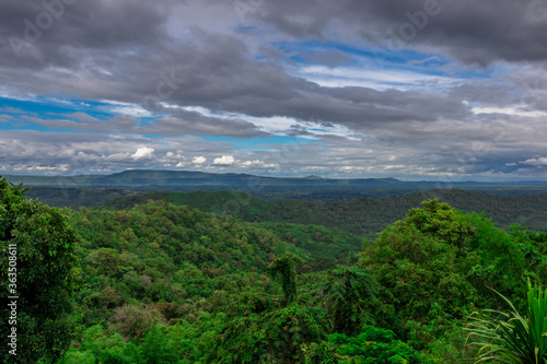 The panoramic background of the green rice fields  with wooden bridges to walk in the scenery and the wind blows through the cool blurred while traveling.