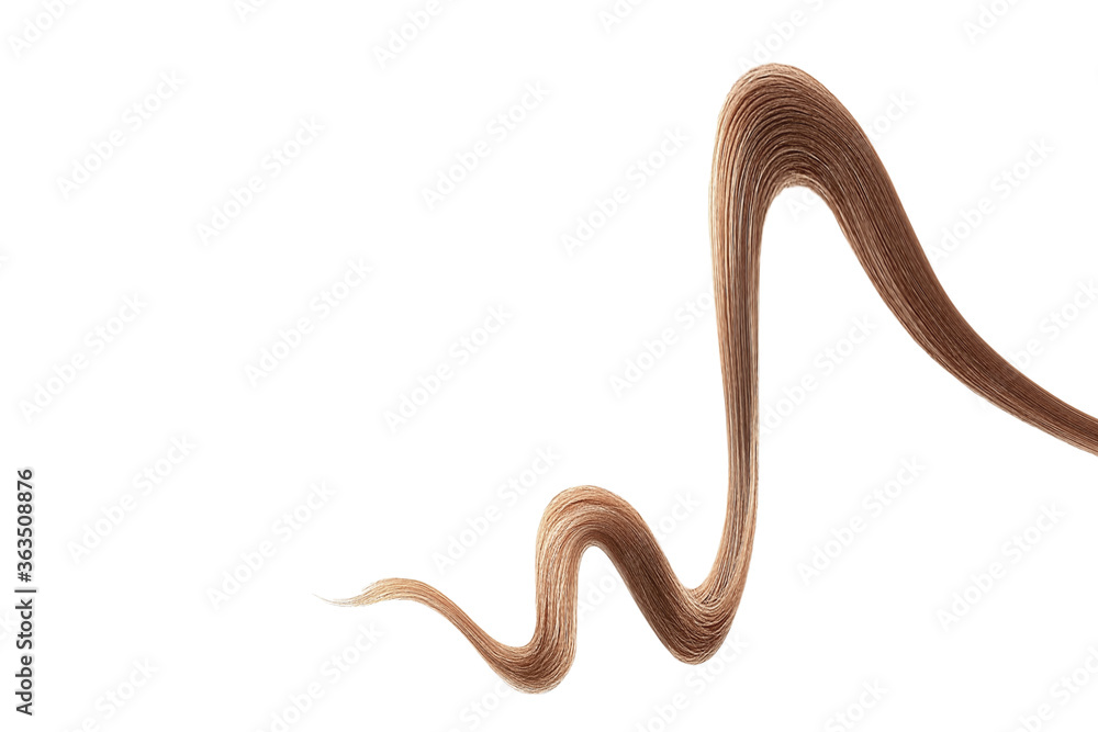 Brown hair on white background, isolated. Thin thread Brown hair on white background, isolated. Thin thread