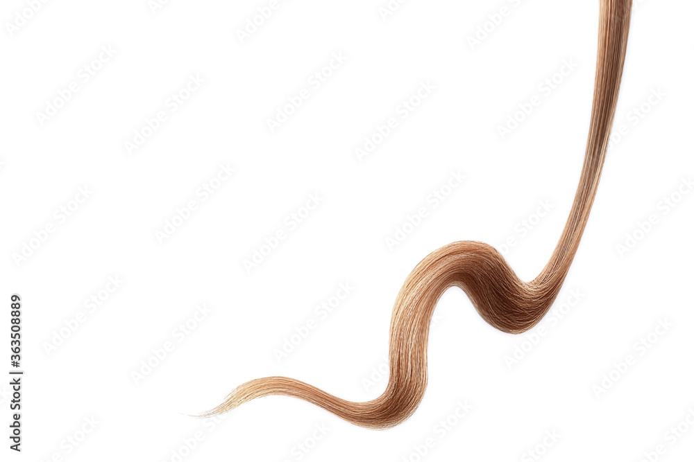 Brown hair on white background, isolated. Thin thread Brown hair on white background, isolated. Thin thread