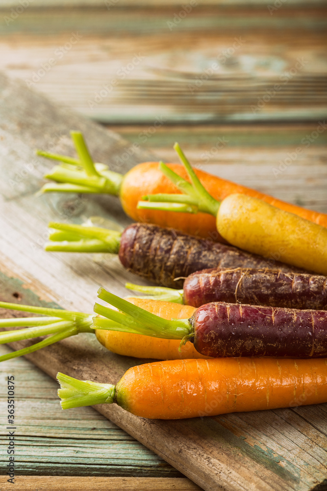 Fresh raw colorful carrots roots, purple, yellow and orange on old wooden table. Healthy food vegetable background with copy space. Toned photo. Fresh raw colorful carrots roots, purple, yellow and orange on old wooden table. Healthy food vegetable background with copy space. Toned photo.
