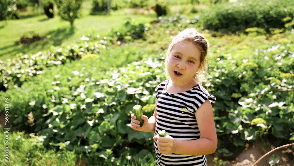 People and food: Beautiful caucasian girl eat a green cucumber. On the background a field with cucumbers. She smiles and laughs and grimaces. The sun is shining in the back People and food: Beautiful caucasian girl eat a green cucumber. On the background a field with cucumbers. She smiles and laughs and grimaces. The sun is shining in the back