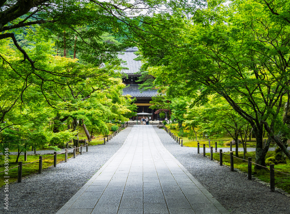 京都　南禅寺　法堂に続く参道