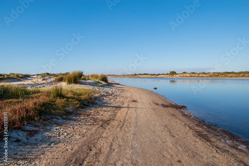 sandy path with river next to it