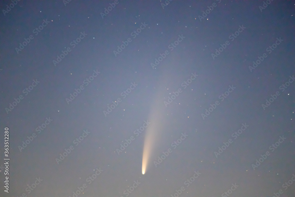 Neowise comet in the hills of Tuscany, Italy