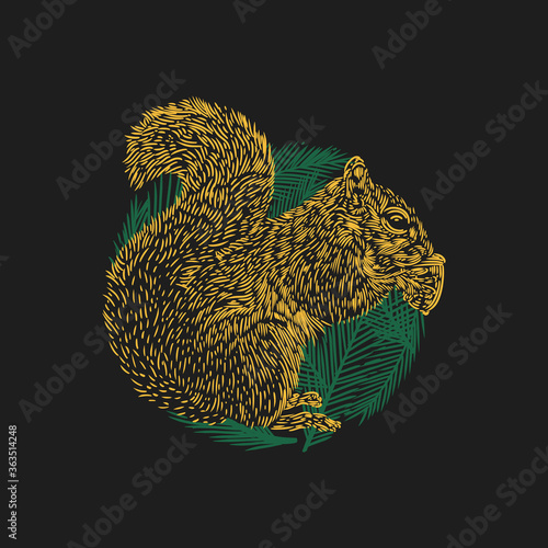 vector illustration the squirrel is eating acorns with a circle ornament background vintage engraving
