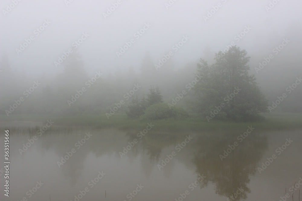 Im Nebel Im Nebel