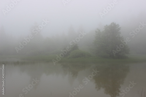 Im Nebel © juppi1310