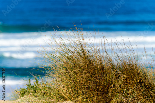 Meeresbrandung an der  portugiesischen Atlantikk  ste 