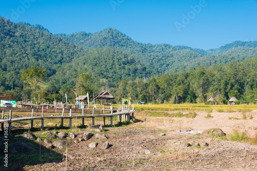 Beautiful scenic view from Pai Bamboo Bridge (Boon Ko Ku So) in Pai, Mae Hong Son Province, Thailand.