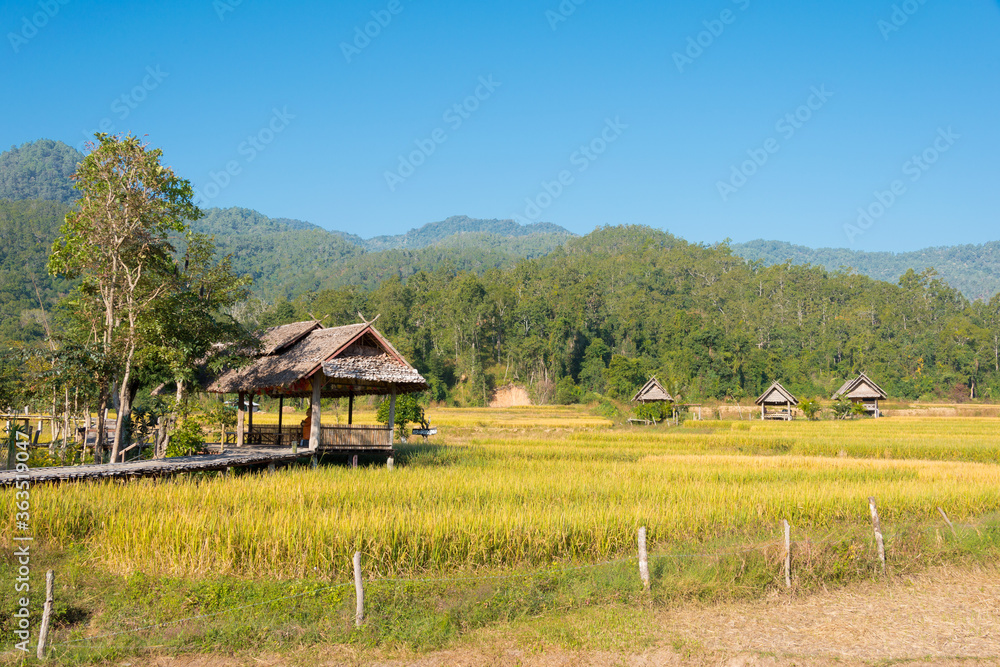 Beautiful scenic view from Pai Bamboo Bridge (Boon Ko Ku So) in Pai, Mae Hong Son Province, Thailand. Beautiful scenic view from Pai Bamboo Bridge (Boon Ko Ku So) in Pai, Mae Hong Son Province, Thailand.